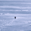 Nietzschean Penguin logo