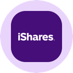 iShares Core S&P MidCap ETF (Ondo Tokenized) logo